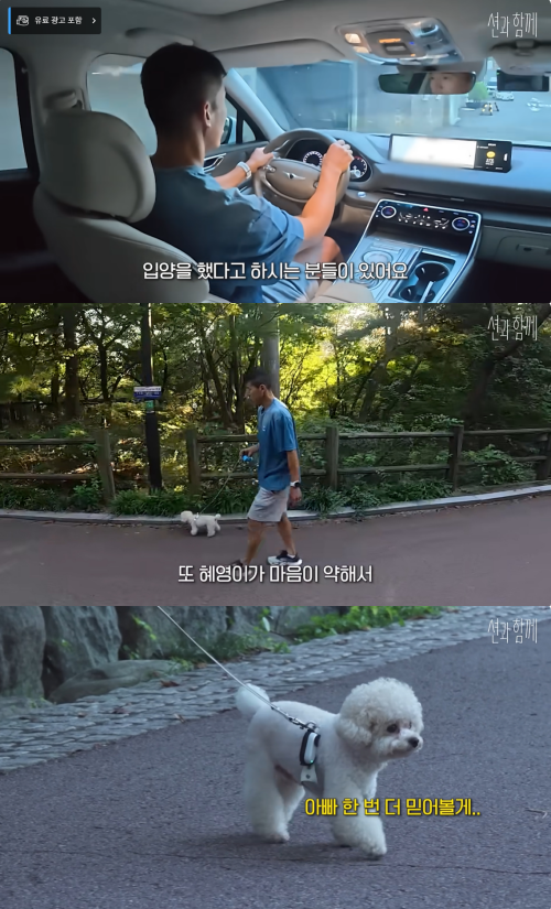 션 유튜브 캡처