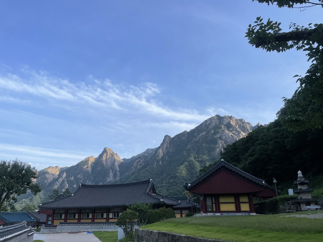 Pine forest and rocky ridges at Seoraksan National Park near Sinheungsa temple in Gangwon Province