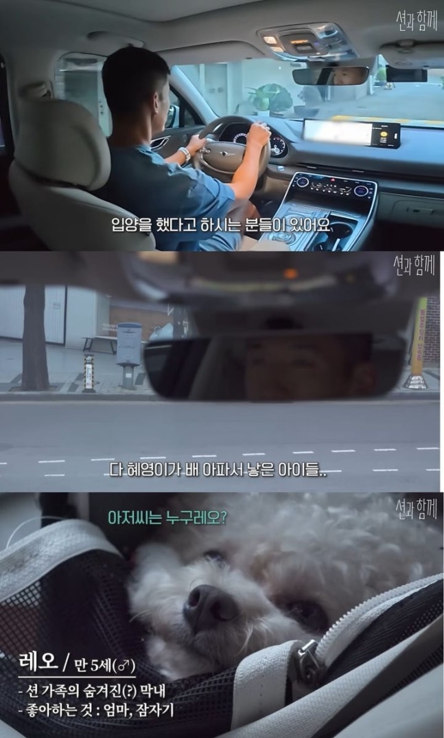 [유튜브 채널 ‘션과 함께’]
