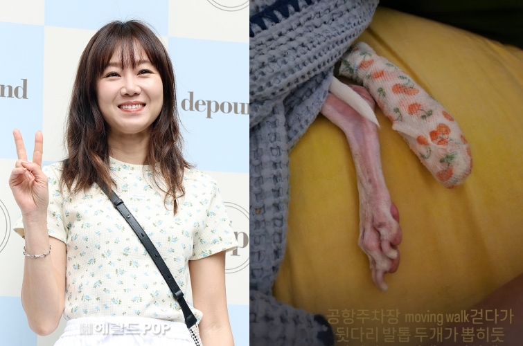 공효진/사진=헤럴드POP DB
