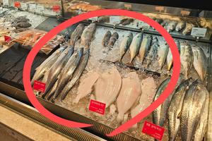 지구, 뭐래?