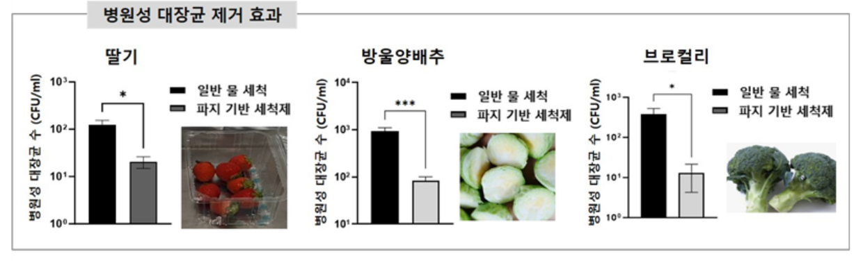 병원성 대장균 제거 효과.[한국식품연구원 제공]