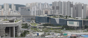 세종백블