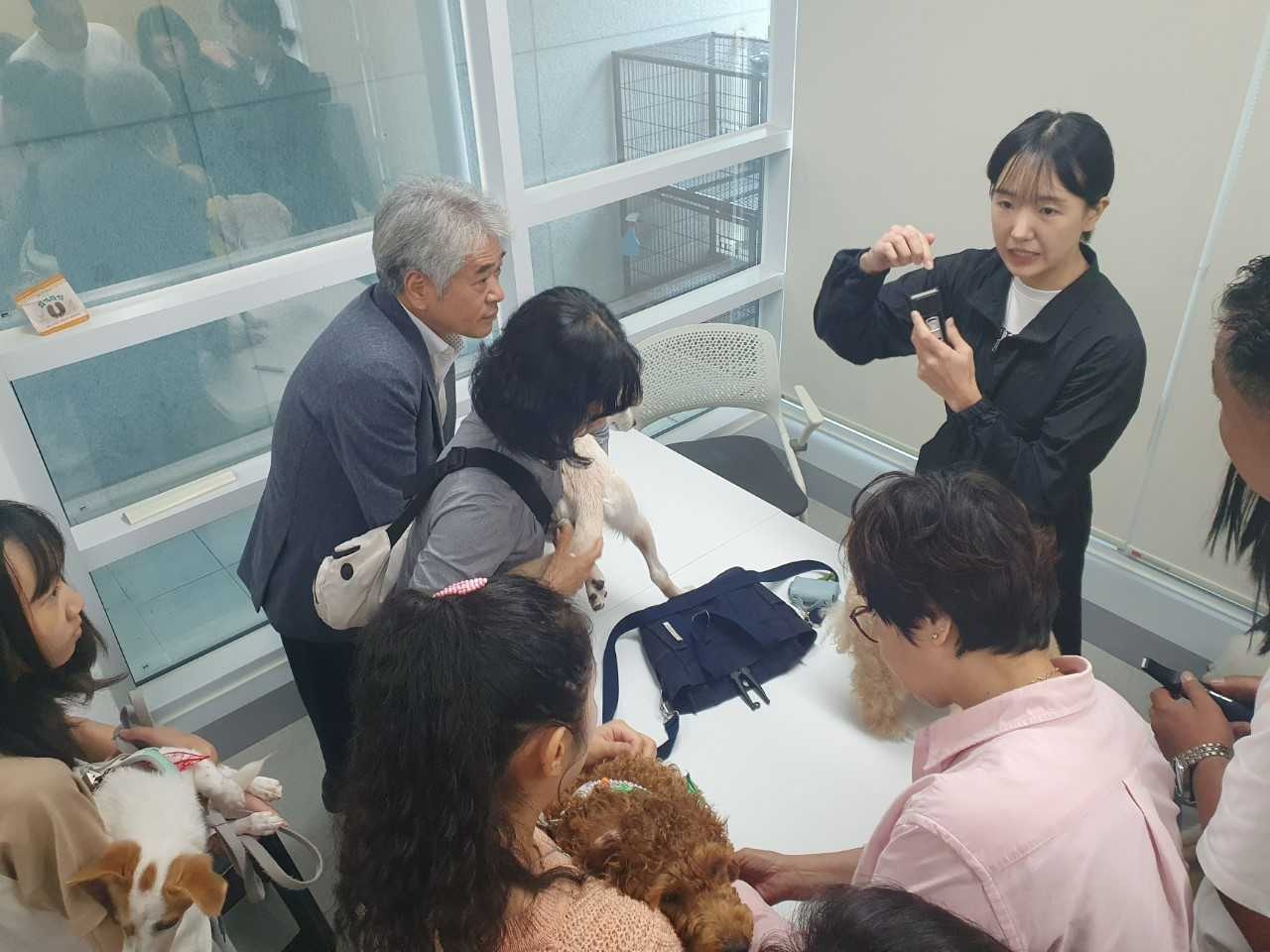 광주동물보호센터 ‘입양동물 스포츠토토의날’ 눈길