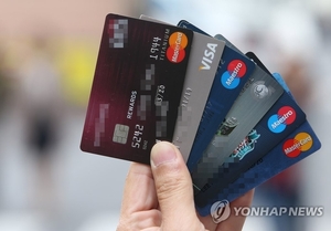 "여보, 오늘 신용카드 만들자"...역대 최대 370만명 '신용 사면', 29... - 뉴스 썸네일 이미지