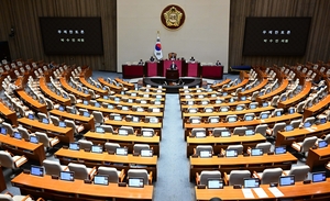 이런 정치