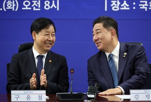 Ruling party, gov't agree to abolish breach of trust charge in criminal law