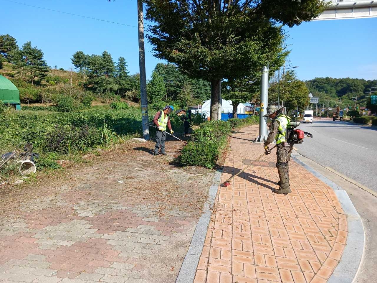 영주시가 추석 명절을 앞두고  지난달 18일부터 30일까지  주요 도로변 환경 정비를 완료했다.[영주시 제공]