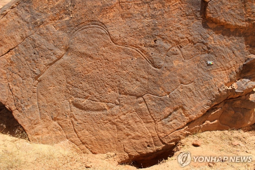 사우디 사막서 발견된 사설 토토사이트. AP=연합