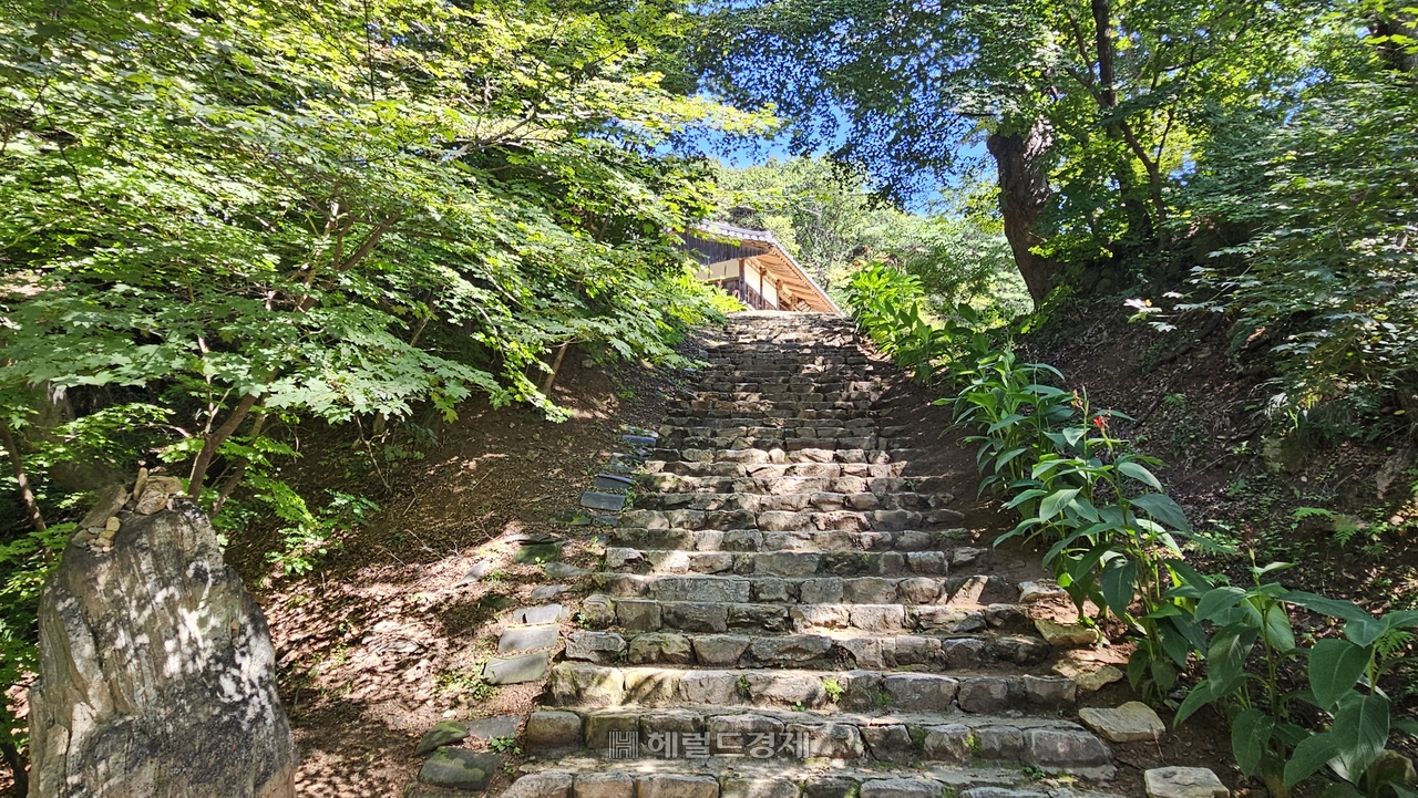 봉토토사이트 운영자 공소시효 영산암 가는 길