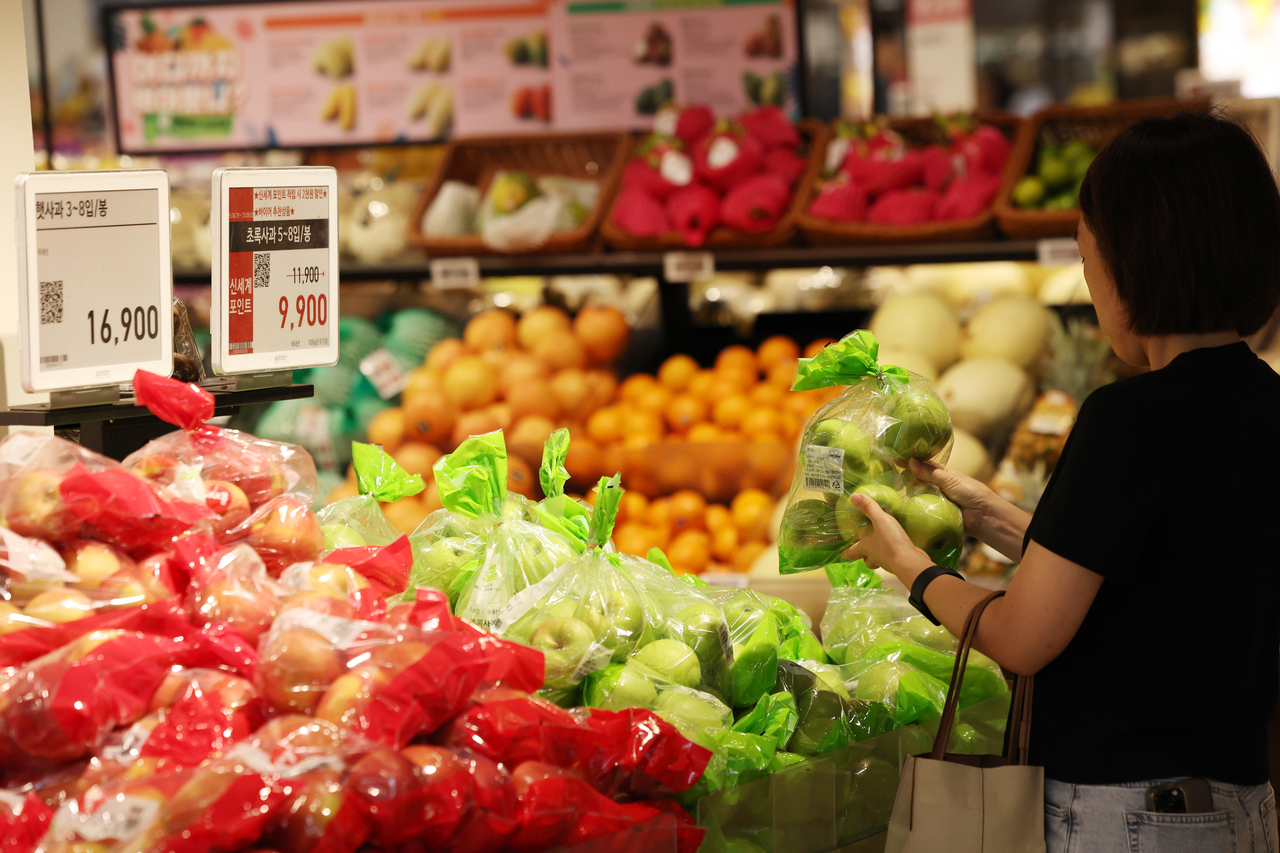 A customer shops at a major discount chain store in Seoul on Sept. 2. (Yonhap)