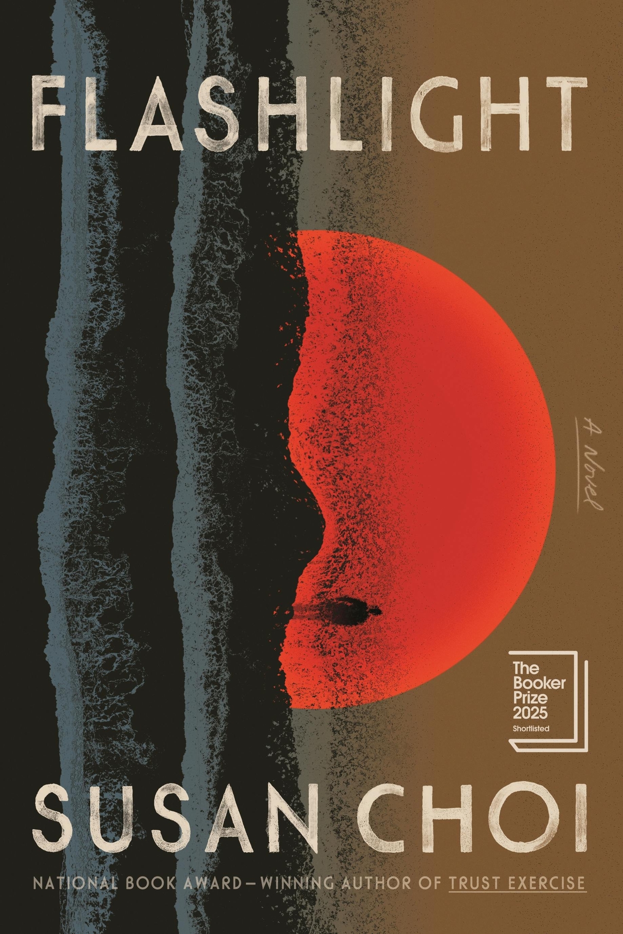 "Flashlight" by Susan Choi (Farrar, Straus and Giroux)