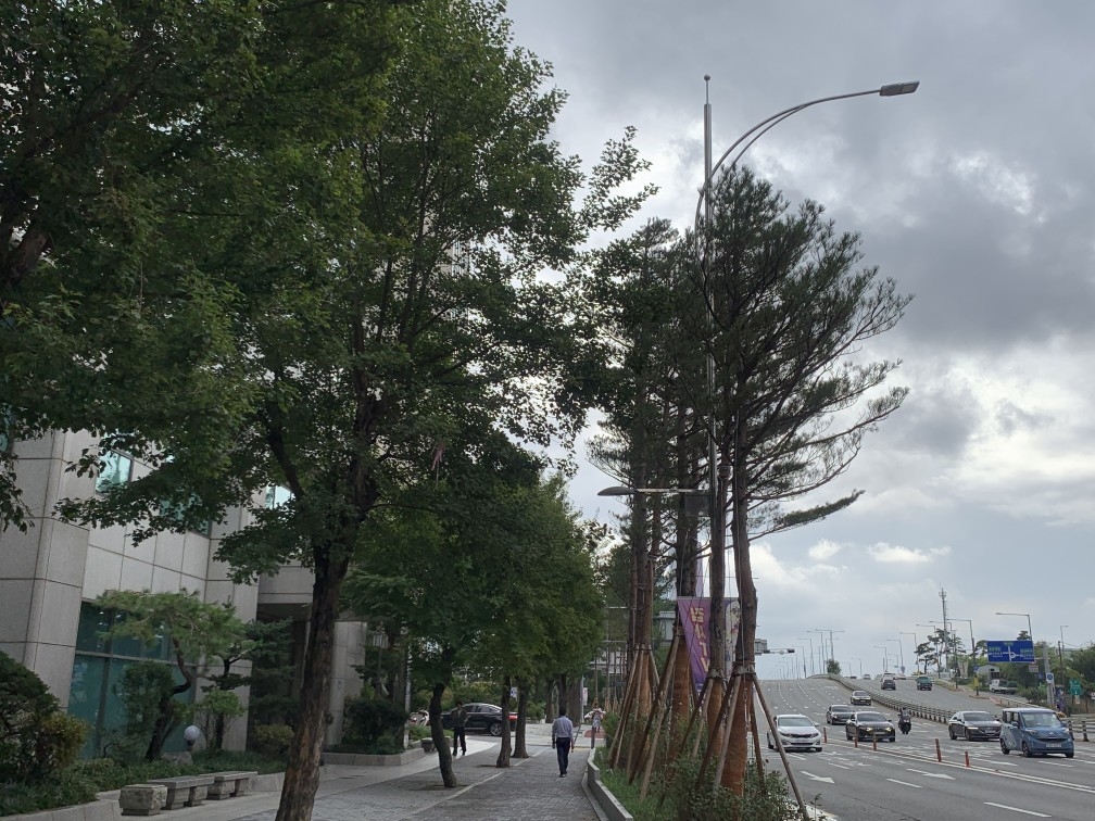 마포대로 ayo 토토사이트 조경