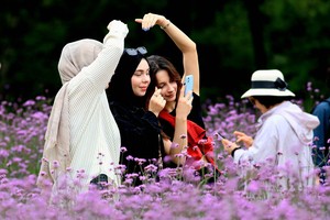 Autumn blooms captivate international visitors