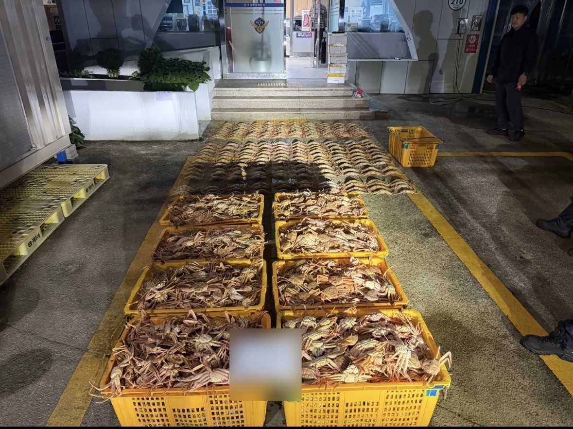 압수한 토토사이트 라이브[포항해경 제공]