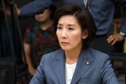 “서울 5선이 경기지사를?” 나경원까지 불러낸 ‘보수 사지’ 경기도 [이런정치]