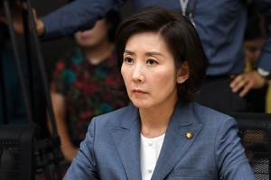 이런 정치