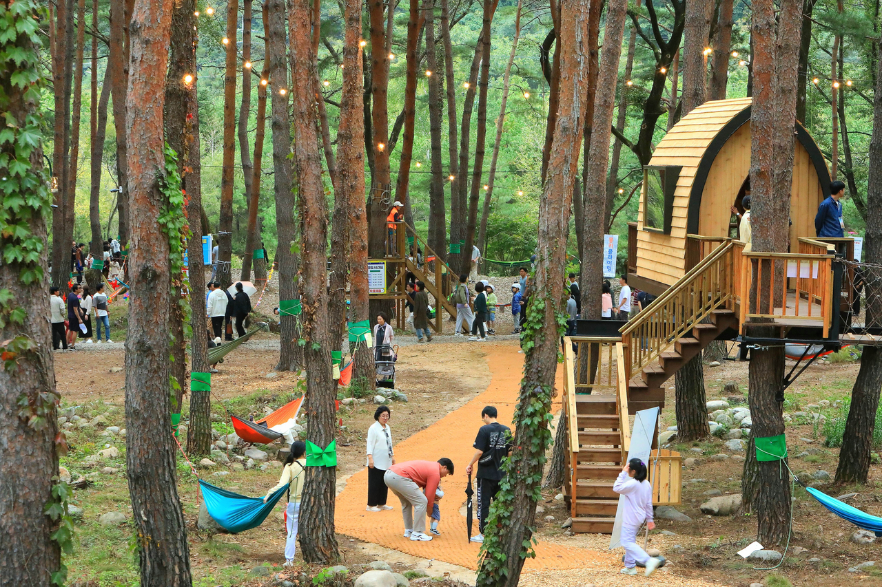 Families and couples spend a relaxing time along walking trails and near a tree house at the Autumn Flower Festival in Inje, Gangwon Province, on Wednesday. (Yonhap)