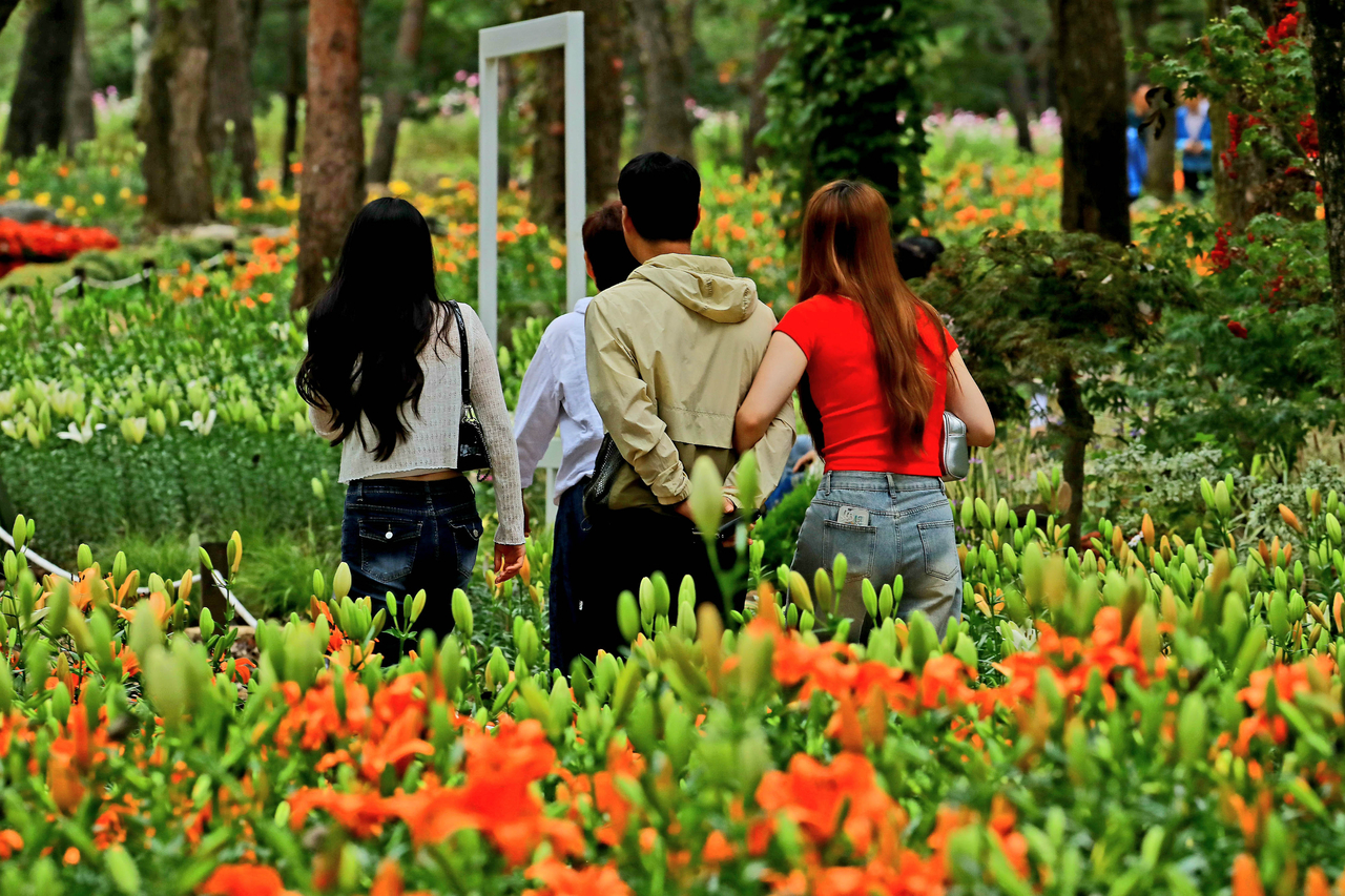 Visitors stroll through a lily garden at the Autumn Flower Festival in Inje County, Gangwon Province, on Wednesday. (Yonhap)