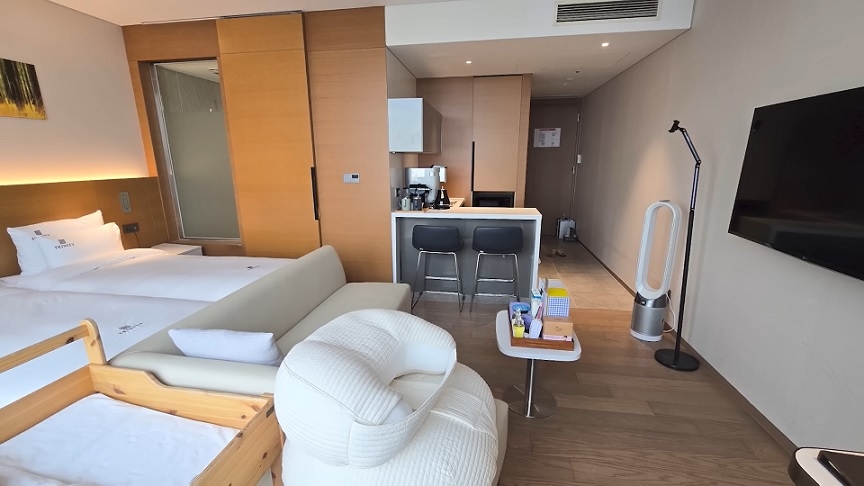 A deluxe suite inside a high-end postpartum care center in Yongsan, central Seoul (YouTube @dudely_08)