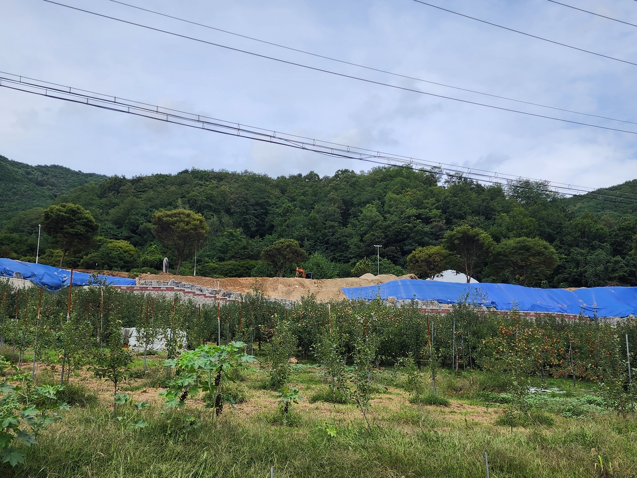 영주 모 항공고등학교가  항공 실습장을 조성하는 과정에서 관련 인허가 절차를 무시한 채 대규모 불법 개발했다는 의혹이 제기되고 있다.