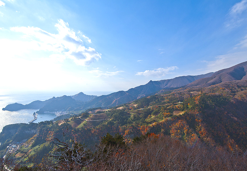 가을옷을 갈아입은 토토사이트 모음 산야. 멀리 저동항이 보인다