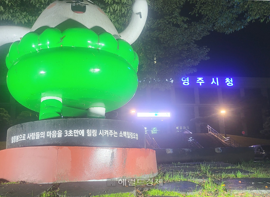 영주시청[헤럴드 DB]