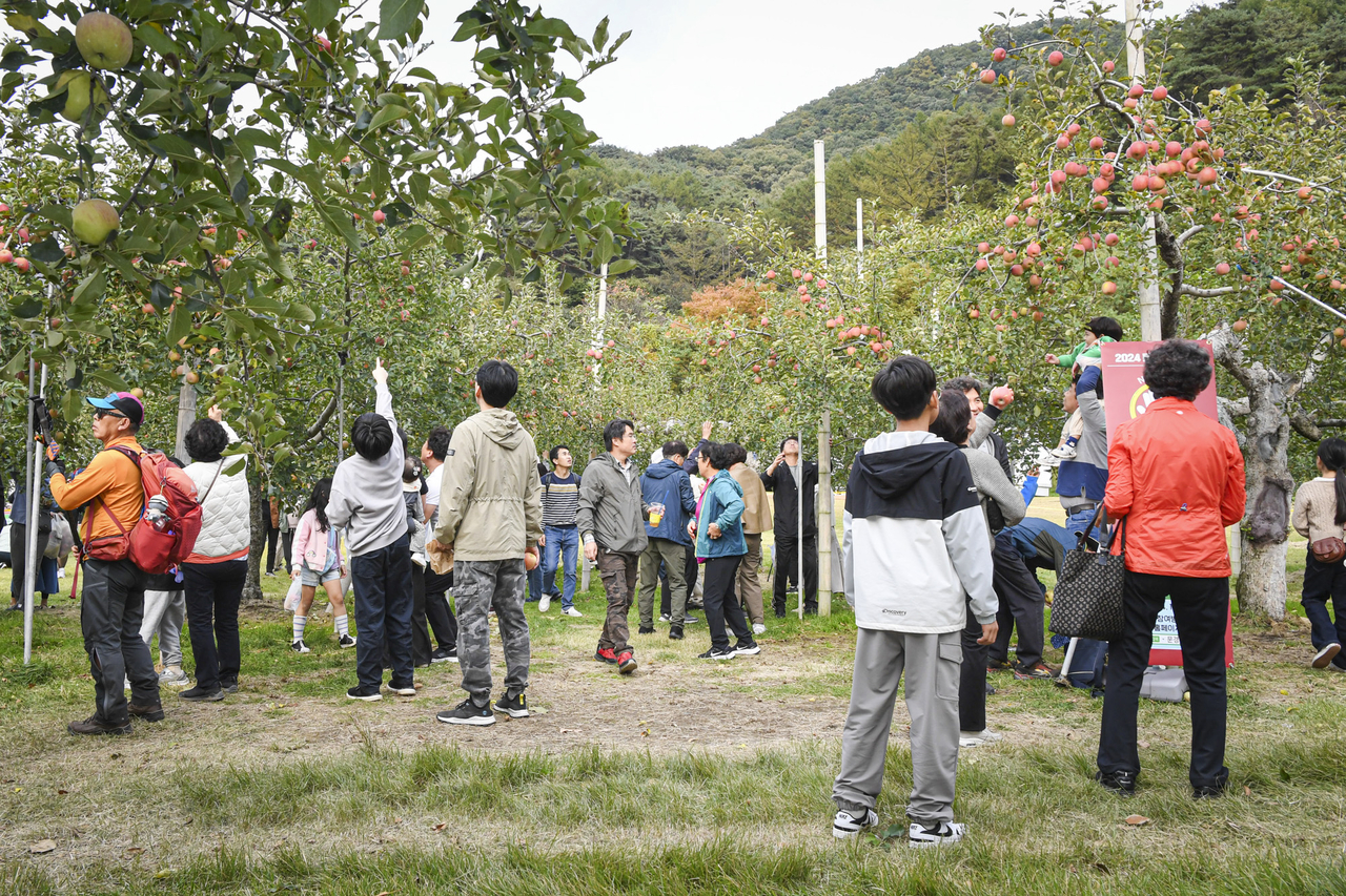 [문경시 제공]