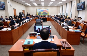 이런 정치