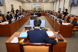 이런 정치