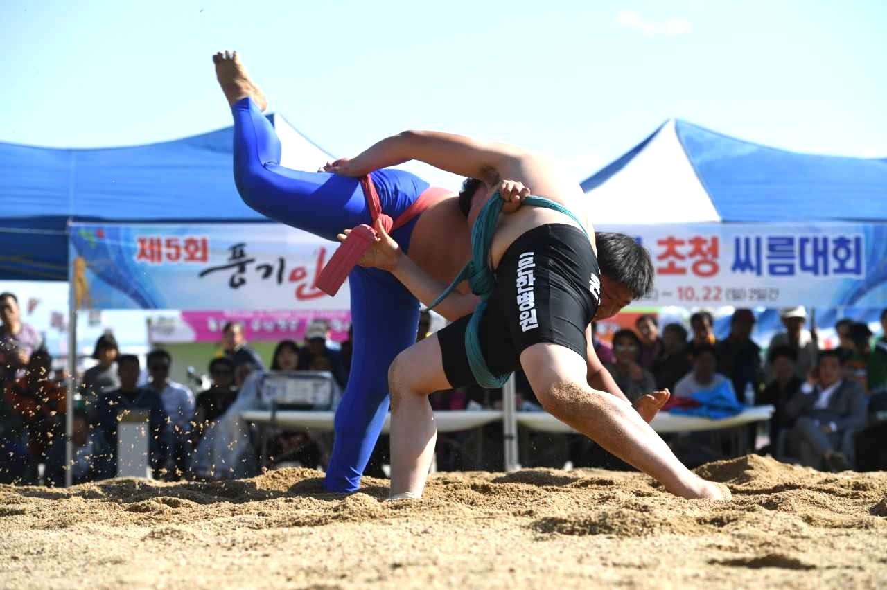 제13회 영주 풍기인삼 장사 씨름대회’가 오는 18일부터 19일까지 풍기인삼축제장 특설씨름판에서 열린다.[영주시 제공]