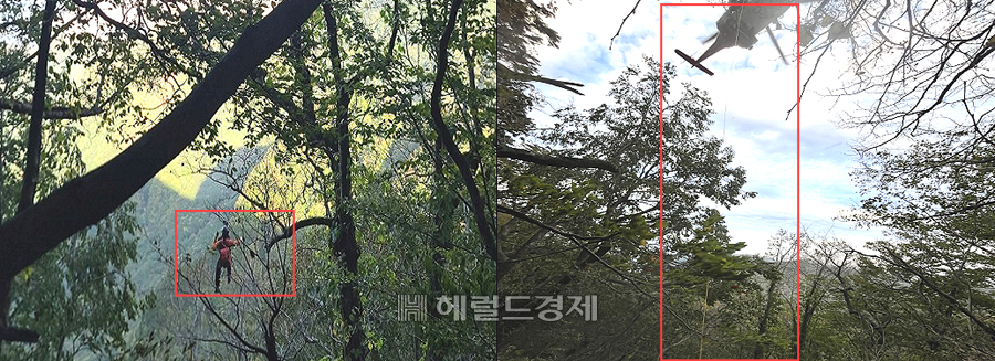 17일 경북 119소방헬기가 울릉도 형제봉 현장에 도착해 구조하고 있다. [울릉 119안전센터 제공]