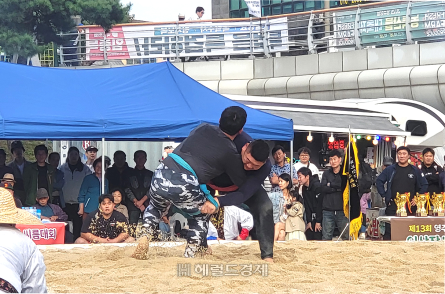 영주 풍기인삼축제장 특설씨름판에서 열린 ‘제13회 풍기인삼 장사 씨름대회’가 성황리에 마무리 됐다.[사진=김성권 기자]