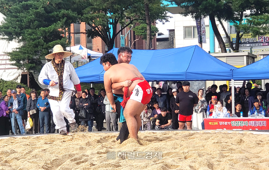 영주 풍기인삼축제장 특설씨름판에서 열린 ‘제13회 풍기인삼 장사 씨름대회’가 성황리에 마무리 됐다.[사진=김성권 기자]