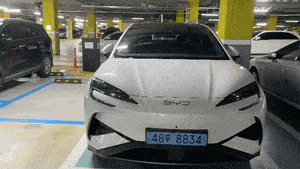 BYD’s Sealion 7 hits Korean roads strong