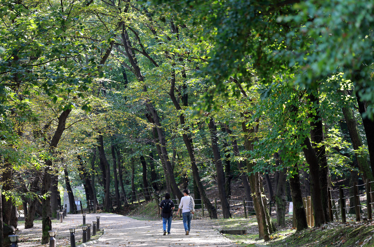 Trees in a park in Gangnam-gu, Seoul, are seen still green and leafy on Sunday. (Yonhap)
