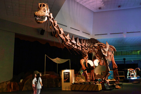 Singapore's Ultimate Prehistoric Adventure Begins at Science Centre Singapore