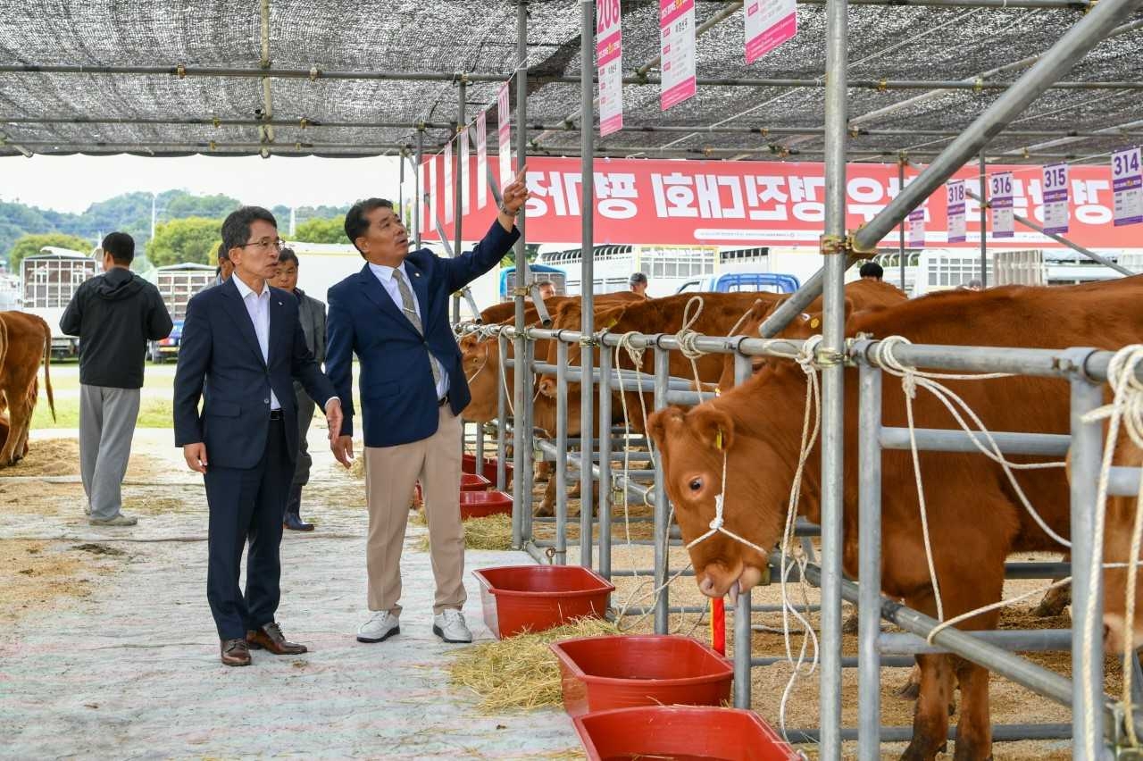 21일 문정 둔치 일원에서 열린 ‘2025 경북한우경진대회’에 유정근 시장 권한대행(왼쪽)과 이상근 시의회 부의장이 행사 현장을 둘러보고 있다.[영주시제공]
