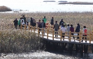 Festivals, sights across Korea