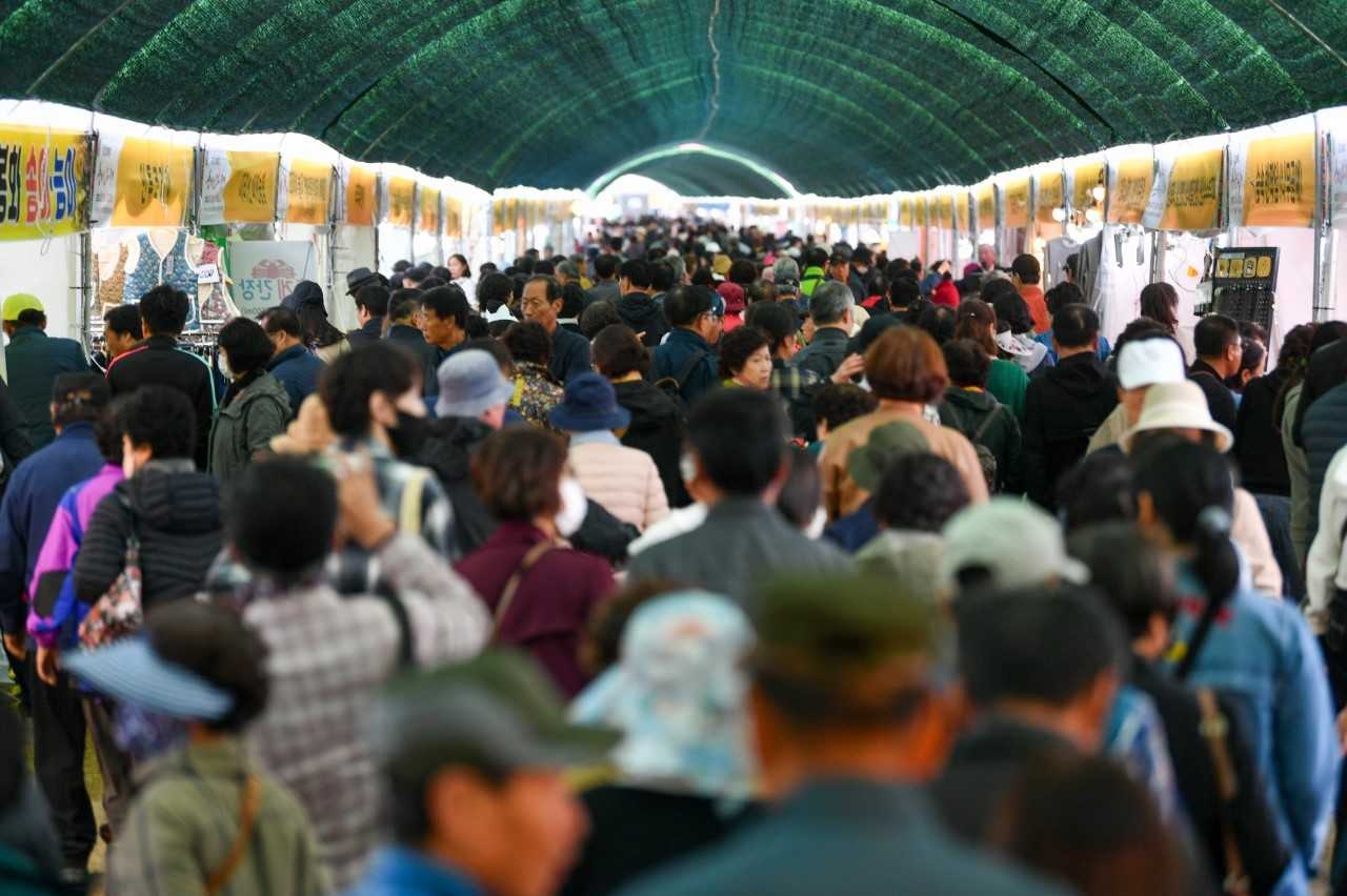 인삼축제장에 수많은 인파가 몰려들고 있다.[영주시 제공]