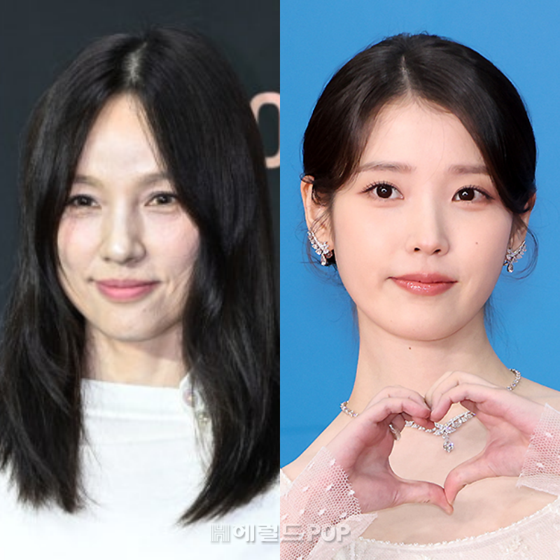 이효리, 아이유/사진=헤럴드POP DB