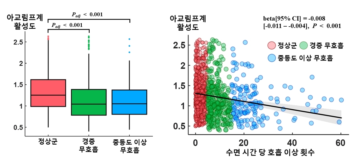 수면무호흡 중증도와 뇌 노폐물 배출 시스템 ‘아교림프계’ 활성도의 관계