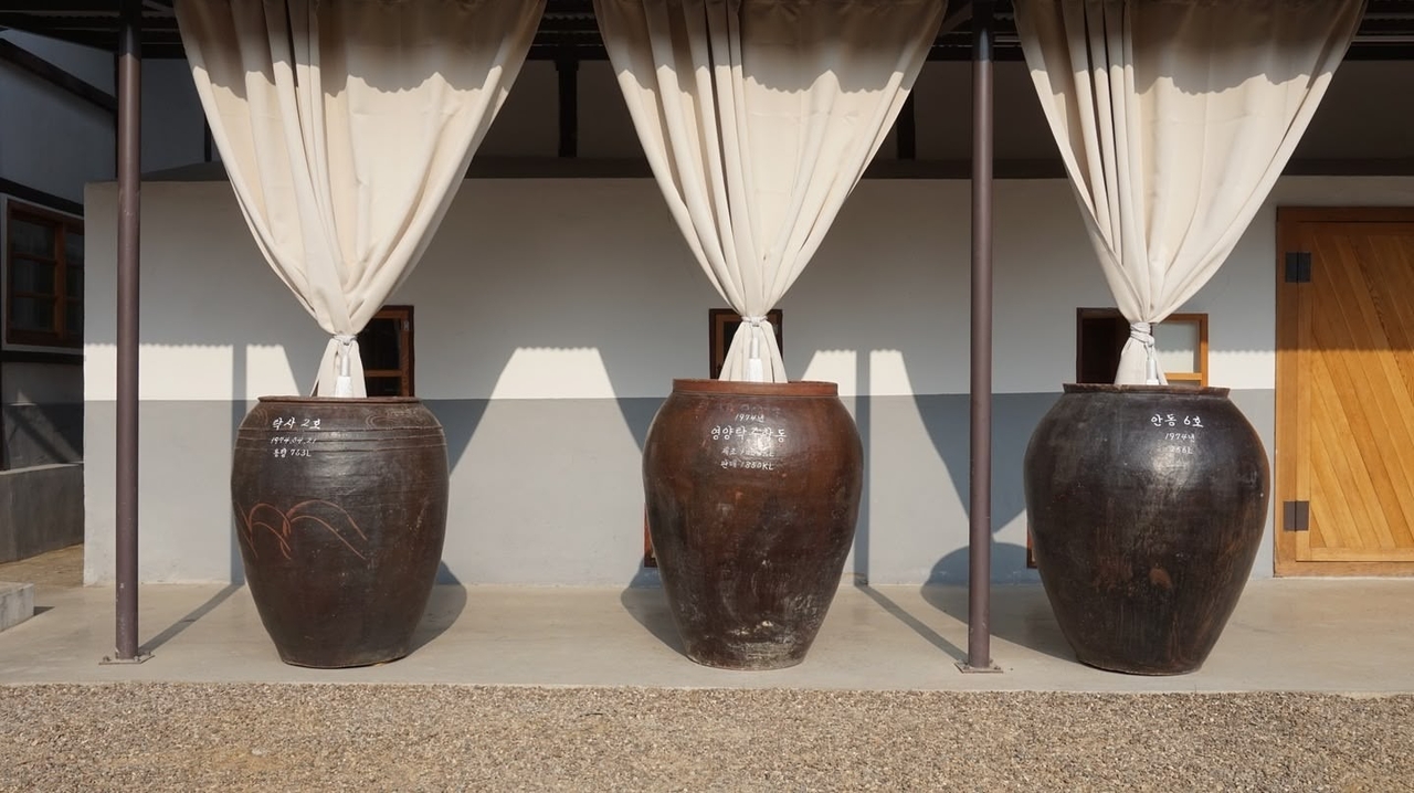 Earthen fermentation jars at the Bal-Hyo Gongbang 1991 brewery in Yeongyang county are shaded by draped curtains designed to evoke the gentle flow of makgeolli. (Bal-Hyo Gongbang 1991 Inc.)