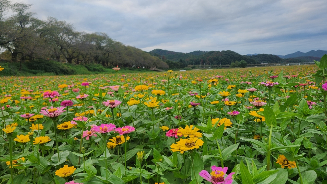 [경주시 제공]