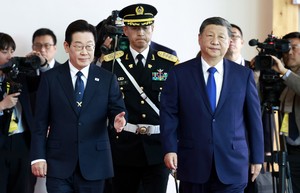 Lee, China's Xi begin summit talks in S. Korea