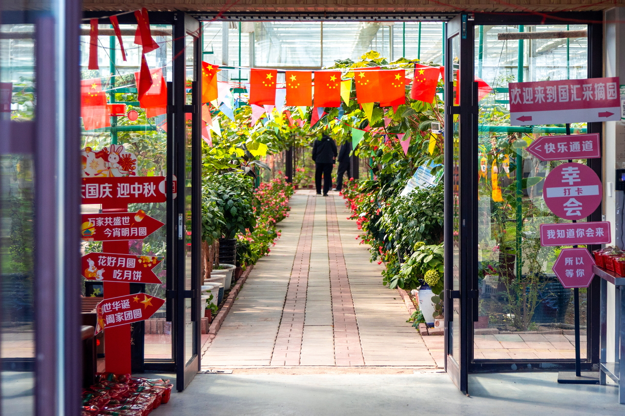 A view of a vineyard in the suburbs of Changchun, China (TASS-Yonhap)