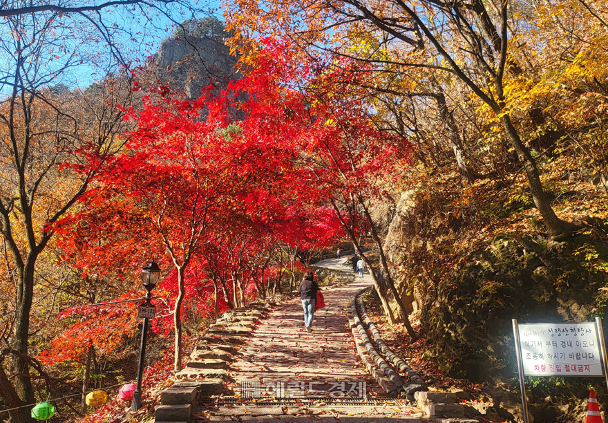 봉화청량산의 가을 풍경 [사진=김성권 기자]