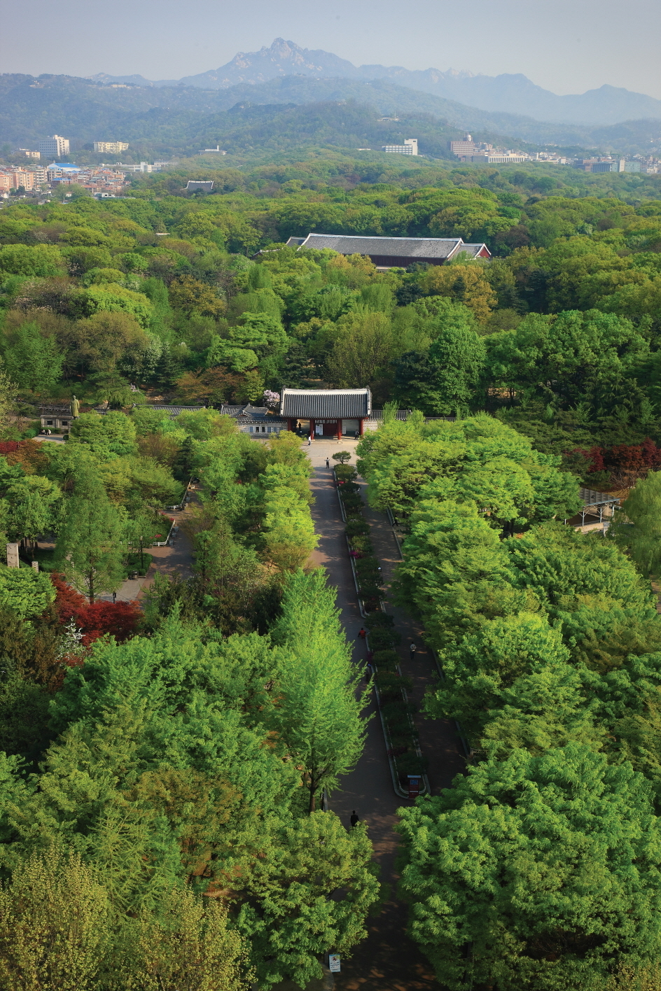 Panoramic view of Jongmyo in Seoul (KHS)