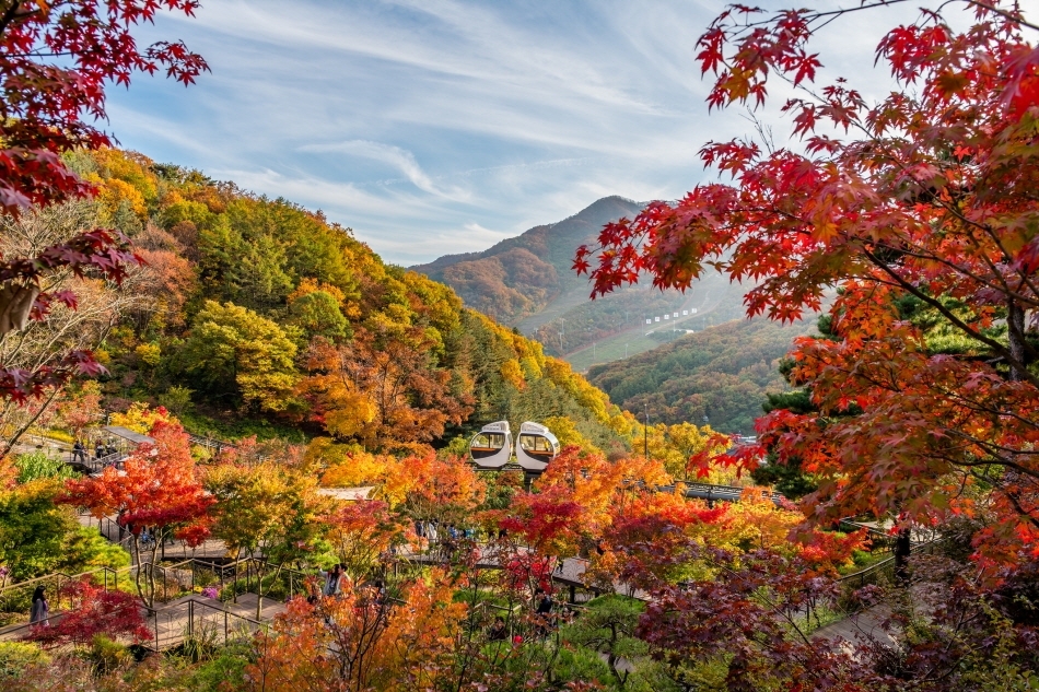 Autumn Colors Festival