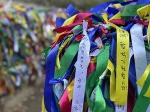 From prayers to photocards: The many rituals of Suneung season